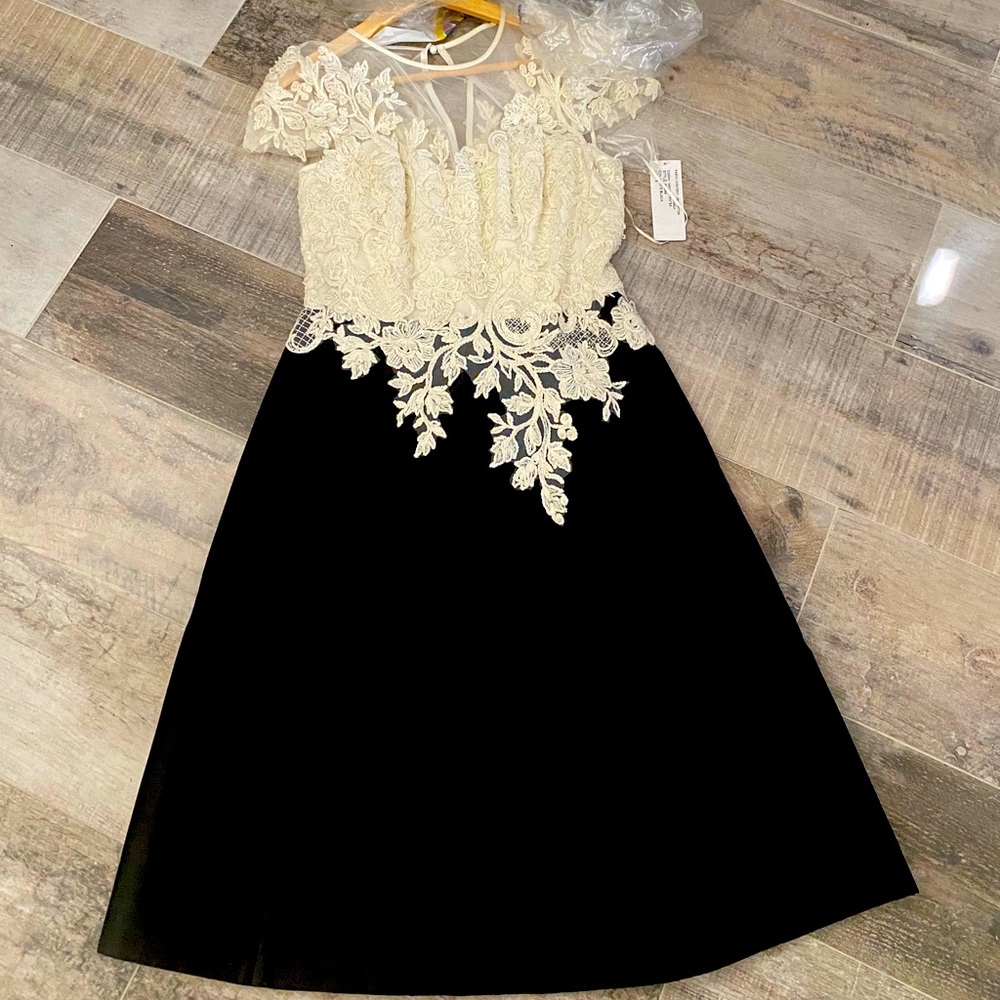 Teri Jon white lace & black taffeta gown